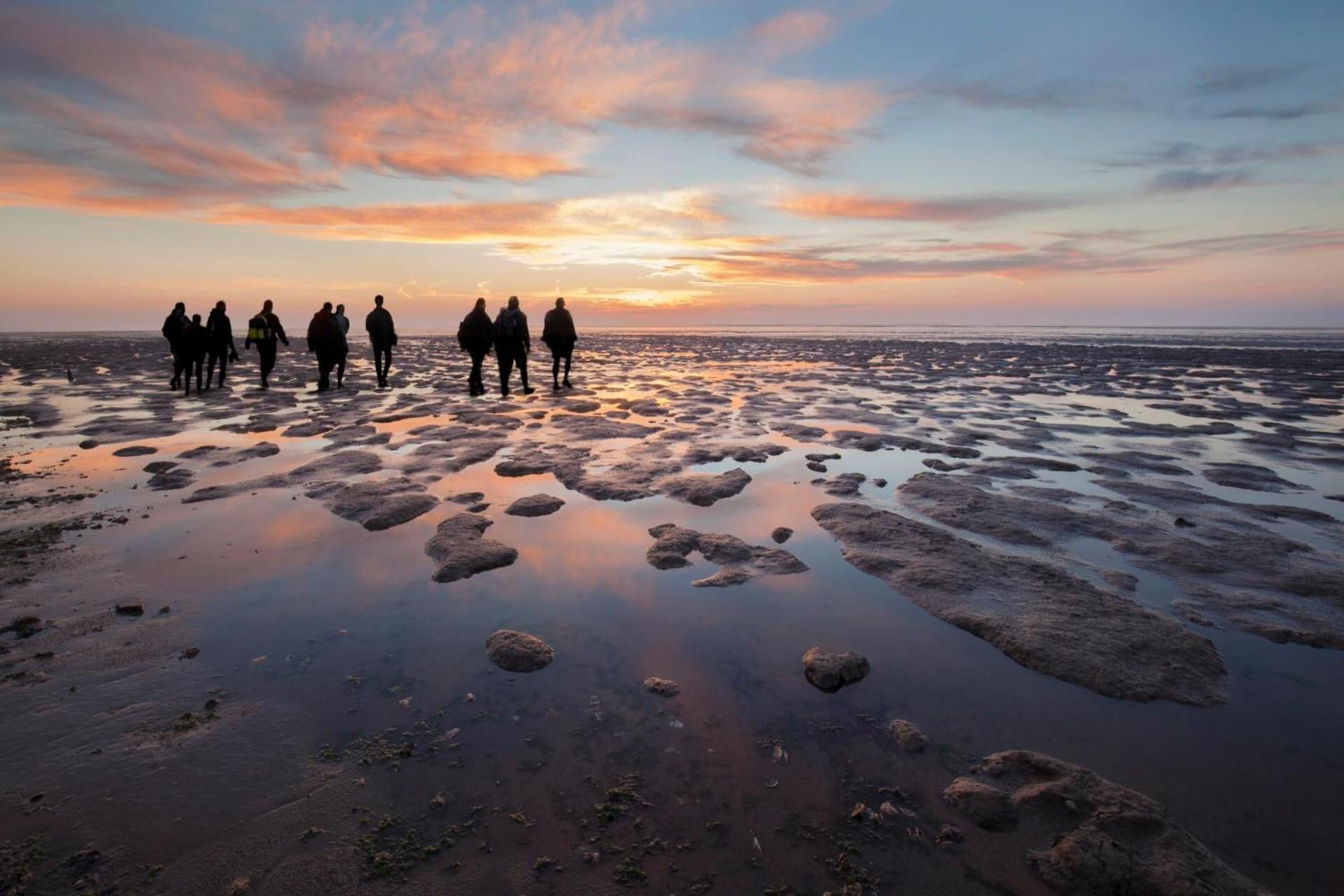 Enjoy Natur, See Und Meer Chalet Lauwersoog- 1-6 Pers- 3 Schlafzimmer, 2 Badezimmer- Fruehes Einchecken Ab 14 Uhr Zewnętrze zdjęcie