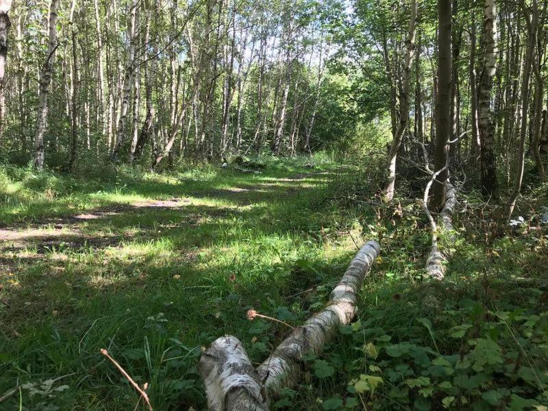 Enjoy Natur, See Und Meer Chalet Lauwersoog- 1-6 Pers- 3 Schlafzimmer, 2 Badezimmer- Fruehes Einchecken Ab 14 Uhr Zewnętrze zdjęcie